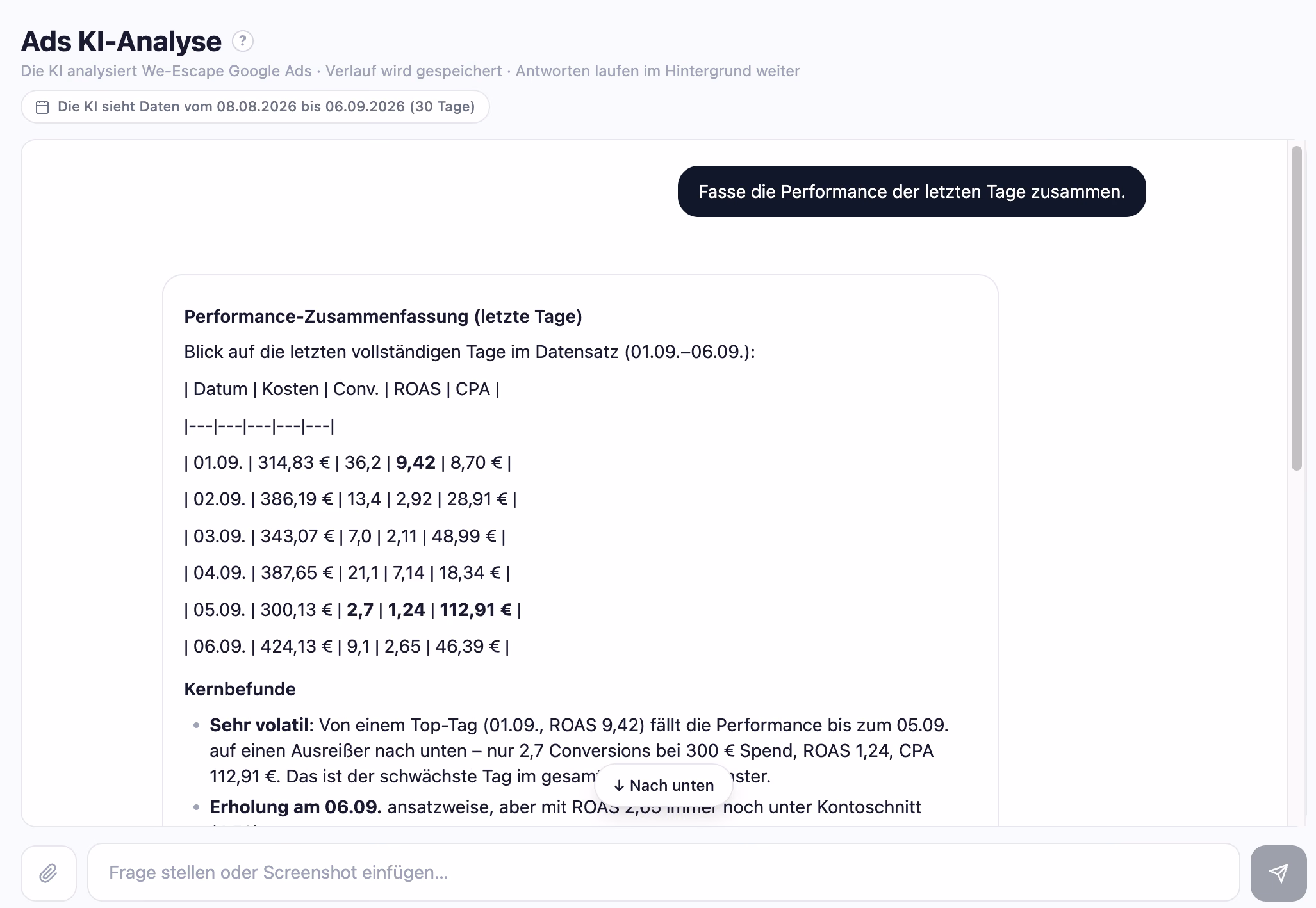 Ads KI-Analyse: Chat mit der KI über die eigenen Google-Ads-Zahlen, Performance-Zusammenfassung mit Kernbefunden